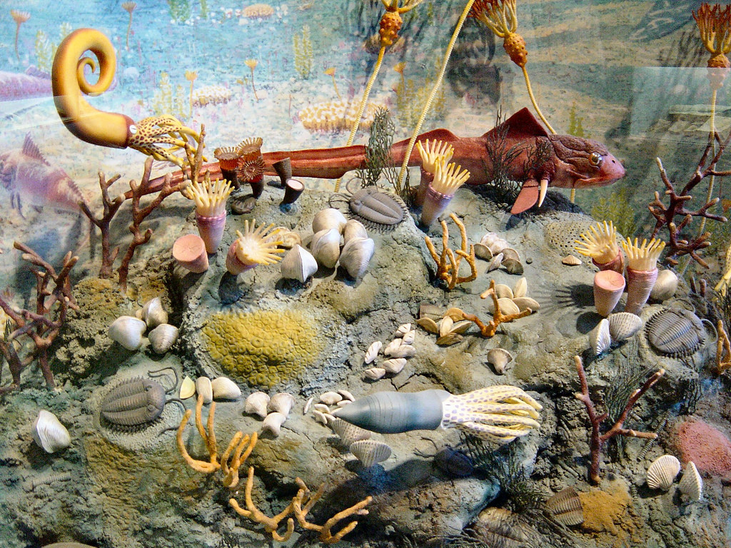 Image : Prehistoric Sea Life by Jim Trottier